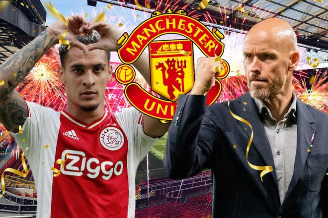 的组织同样 的组织同样